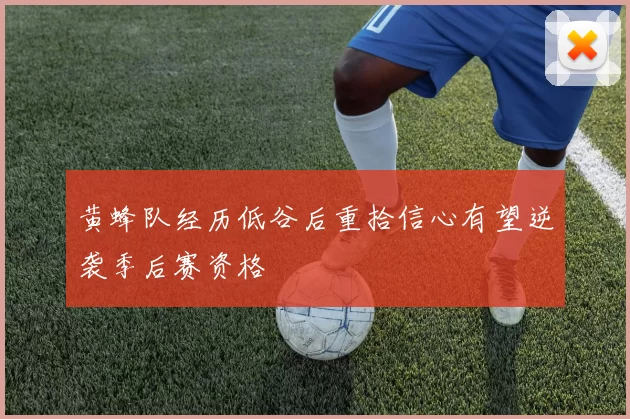 黄蜂队经历低谷后重拾信心有望逆袭季后赛资格