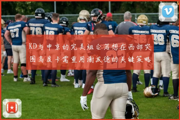 KD与申京的完美组合若想在西部突围乌度卡需重用谢泼德的关键策略
