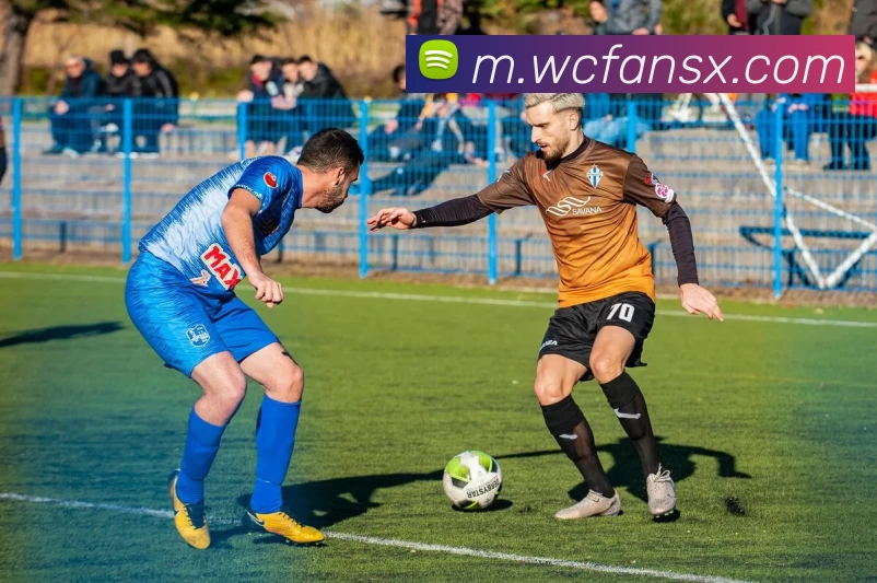 平台展示图
